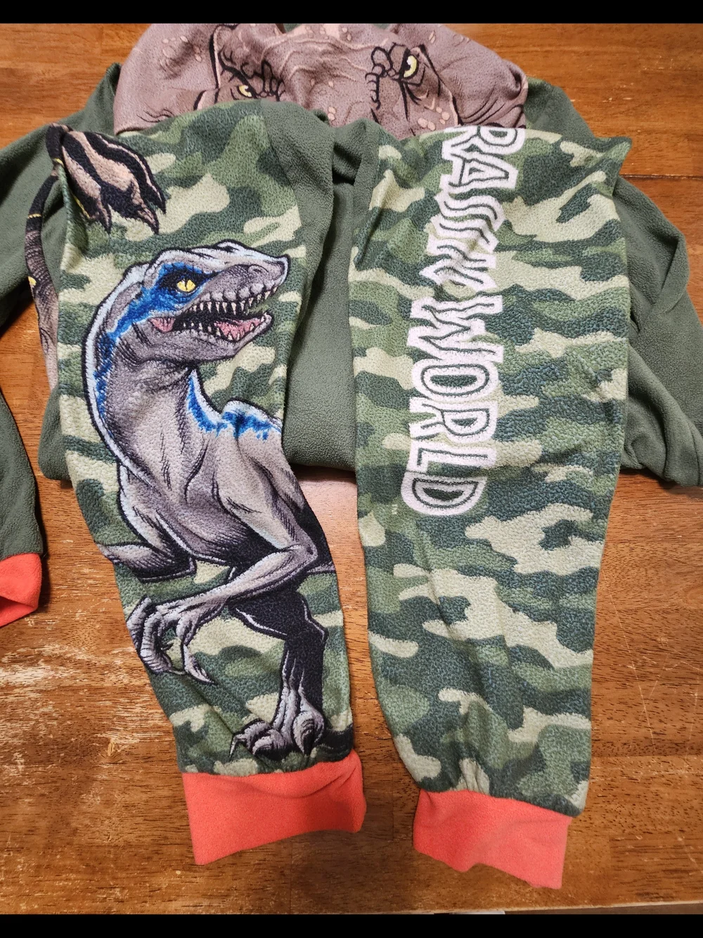 Kids' Dinosaur Print Long Sleeve Hoodie - Green Camo